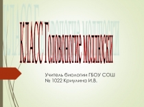 Презентация по биологии на тему