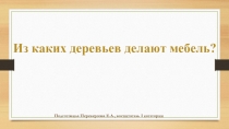 Презентация Из каких деревьев делают мебель