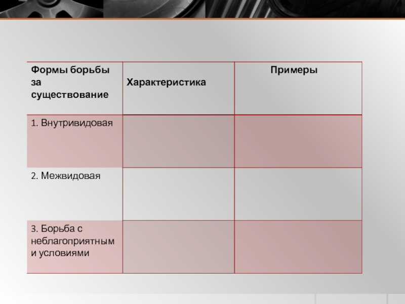 Формы борьбы за существование презентация