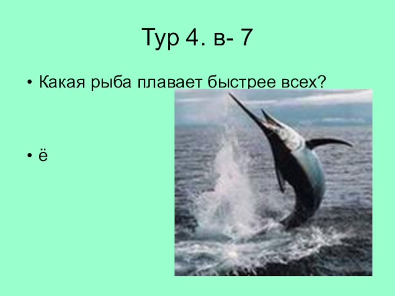 Atlantic sailfish. Какая рыба плавает быстрее всех. Какая рыба плавает быстрее всех. Рыба парусник презентация. Какая рыба плавает быстрее всех.