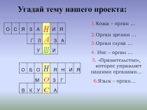 Презентация Как работает наш нос