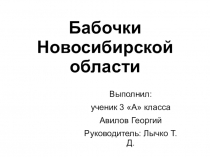 Пооект Бабочки Новосибирской области
