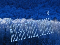 Презентация по окружающему миру Жизнь птиц зимой