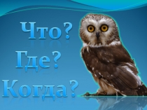 Интерактивная игра Что?Где?Когда? по правилам пожарной безопасности