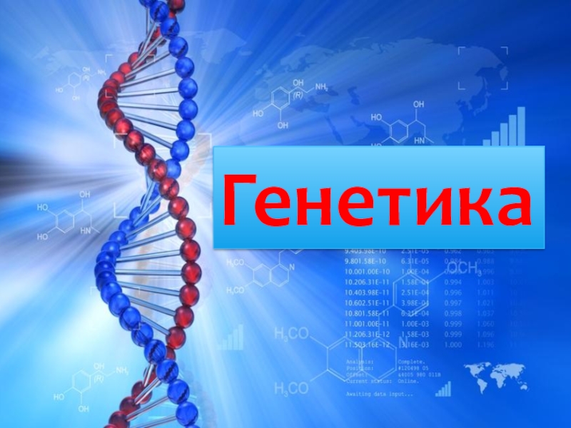 Презентации по теме генетика