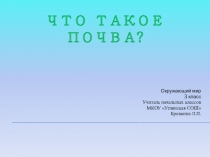 Презентация по окружающему миру на тему: Что такое почва? ( 3 класс)