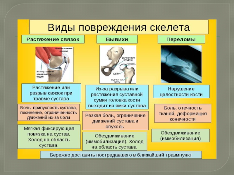 Первая помощь при повреждении скелета