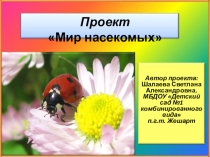 Проект-презентация Мир насекомых (средняя группа)