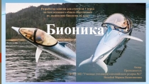 Презентация по биологии на тему Бионика