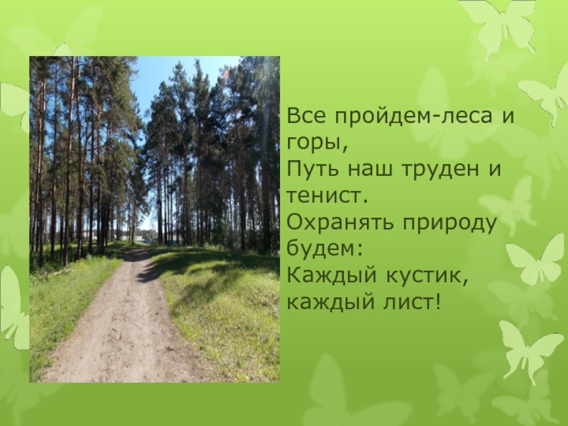 В русском лесу не пройдут. Стих я пройдусь по лесам. Фофанов шумят леса тенистые. Стихотворение для 4 класса в мае я пройдусь по лесам. "Наш путь окончен…"дальше.