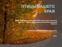ЭОР для учащихся 7 класса ПТИЦЫ НАШЕГО КРАЯ
