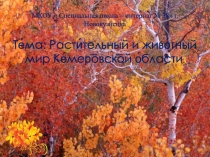 Презентация к уроку природоведения на тему: Растительный и животный мир Кемеровской области.