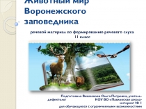 Презентация по формированию речевого слуха Животный мир Воронежского заповедника (11 класс)
