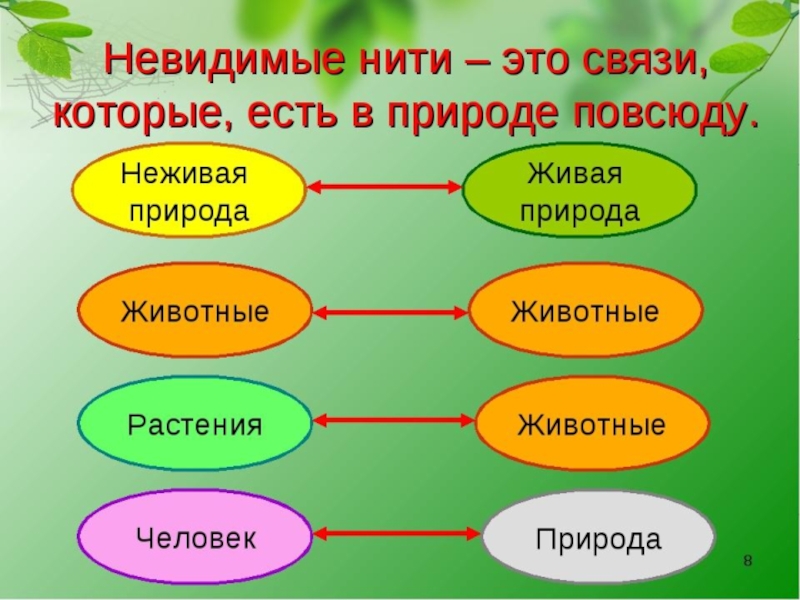 Взаимосвязь между растениями и животными схема