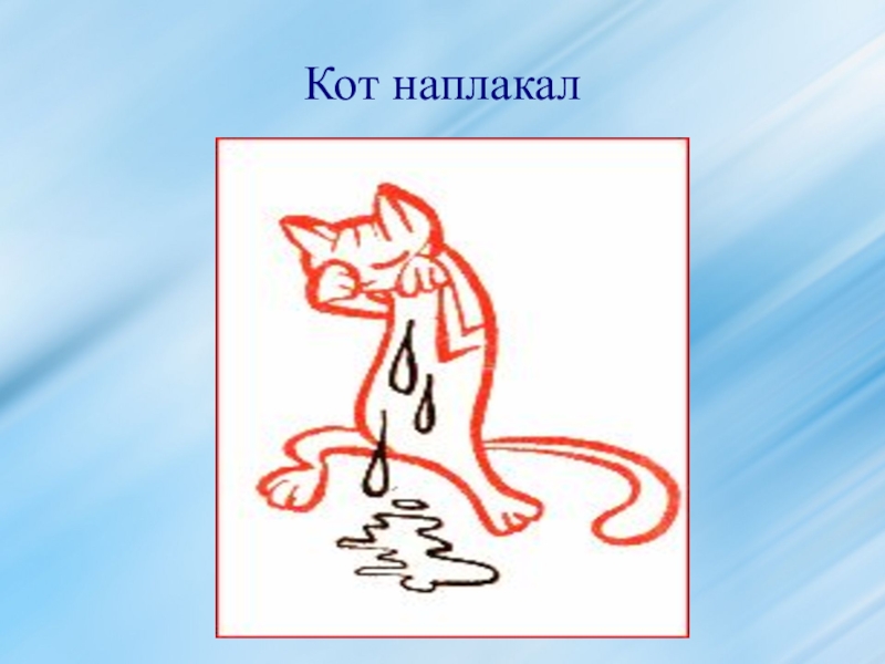 Кот наплакал. Кот наплакал фразеологизм. Кот заплакал фразеологизм. Кот наплакал значение фразеологизма. Картинка к фразеологизму кот наплакал.