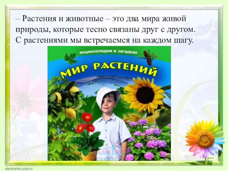 Урок окружающий мир 2 класс растения. Окружающий мир 2 класс письмо экологов. Урок 2 класс письмо экологов. Мы и окружающий мир 3 класс письмо экологам. Письмо экологам 2 класс окружающий мир примеры.