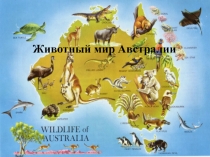 Презентация по теме Животный мир Австралии к уроку географии 8 класс 8 вид