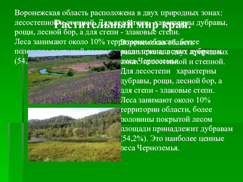 Природная зона владимирской области