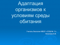 Презентация к уроку биологии: Адаптация организмов к условиям среды обитания (11 класс)