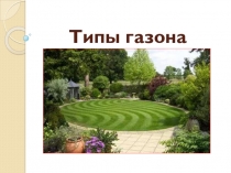 Типы газонов, предмет Основы ландшафтного дизайна