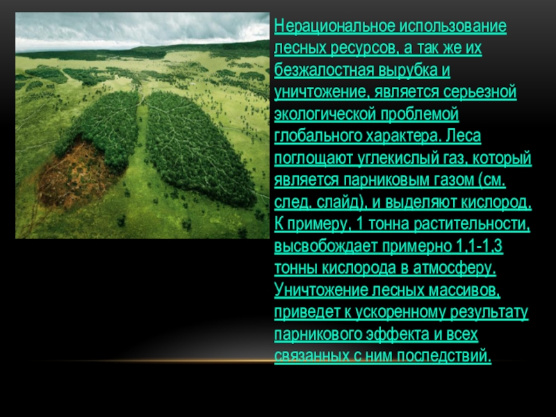 Нерациональные ресурсы. Нерациональное использование. Нерациональное использование ресурсов. Нерациональное использование лесных ресурсов. Последствия нерационального использования лесных ресурсов.