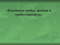 Биология 5 класс. Плесень и дрожжи.