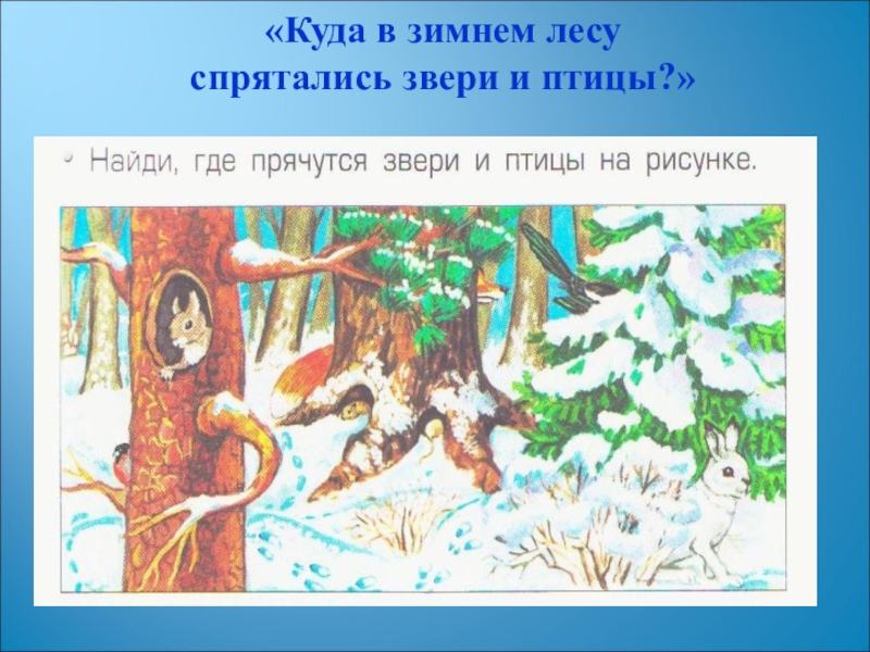 Окружающий мир зима. Зима в лесу презентация для дошкольников. Звери спрятались в зимнем лесу. Где спрятались звери зимой. Задания животных в лесу зимой.