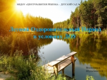 Летний оздоровительный период в условиях ДОУ