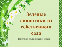 Презентация проектной деятельности Зелёные синоптики из собственного сада