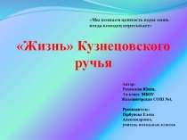 Презентация по исследовательской работе на тему Жизнь Кузнецовского ручья