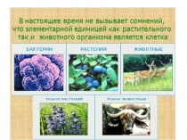 Презентация по биологии 5 класс по теме: Строение растительной, животной и грибной клеток .