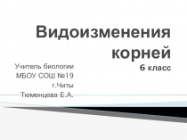 Презентация Видоизменения корней  6 класс