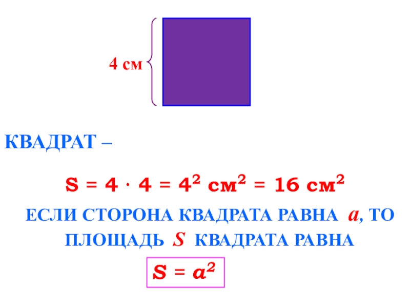 Ширина прямоугольника 2см а длина. Площадь в квадратных сантиметрах. S квадрата. Чему равен квадрат. Площадь прямоугольника в см2.