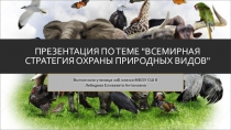Презентация Всемирная стратегия охраны природных видов