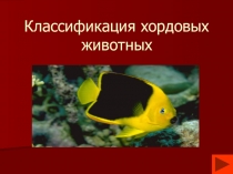 Презентация к уроку биологии на тему Классификация хордовых животных