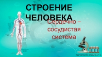 Презентация по ознакомлению с миром природы.Тема: Строение человека. Сердечно-сосудистая система.