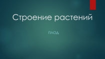 Презентация по ботанике на тему Плод