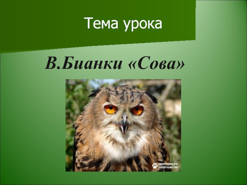 Сова презентация 2 класс. Презентации Бианки Сова. Слайды Бианки Сова. Бианки Сова план. Проект Сова в Бианки.