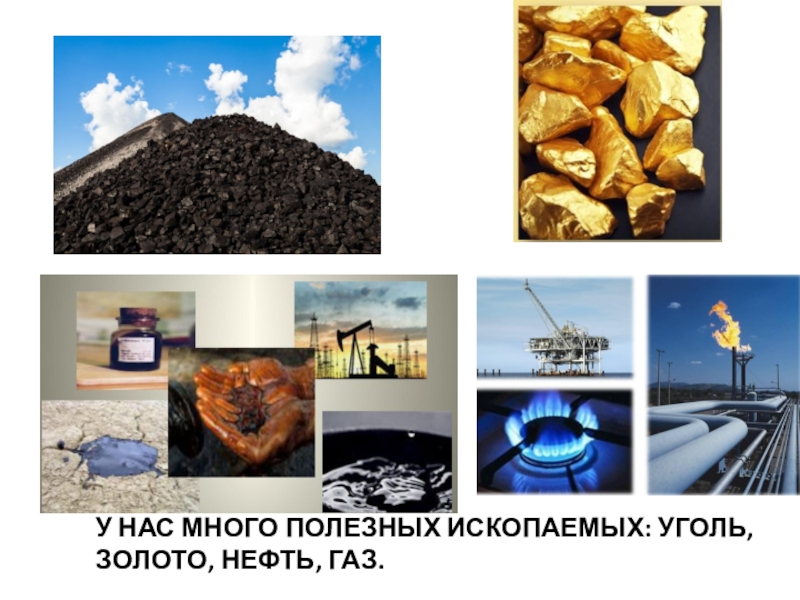 Нефть и газ главное богатство. Полезные ископаемые. Полезные ископаемые уголь. Полезные ископаемые Иркутской области. Нефть и ГАЗ полезные ископаемые.