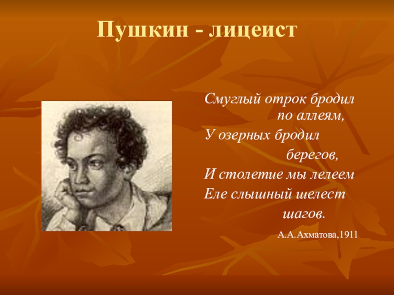 Смуглый отрок бродил по аллеям анализ. Пушкин Смуглый. Пушкин цвет кожи. Пушкин был смуглым. Отрок Пушкин.