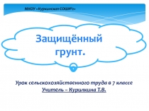 Презентация по сельскохозяйственному труду Защищенный грунт