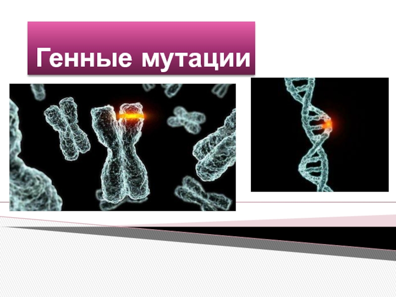 Презентация Творческая работа по биологии ученицы 9 класса Черепановой Валерии по теме: Генные мутации