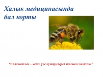 Презентация по биологии Апитерапия