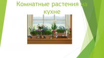 Презентация по теме  Комнатные растения на кухне