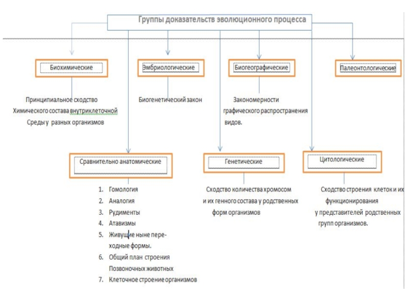 Какие есть доказательства. Таблица по биологии доказательства эволюции органического мира. Основные доказательства эволюции таблица. Таблица номер 1 доказательства эволюции органического мира. Палеонтологические доказательства эволюции таблица.