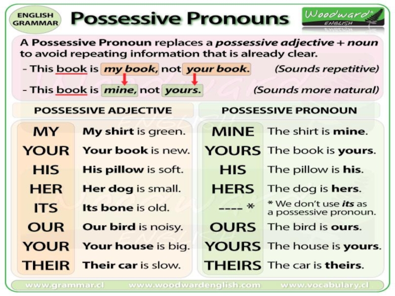 Местоимение our. Possessive pronouns правило. Possessive pronouns в английском. Possessive pronouns таблица. Possessive pronouns предложения.