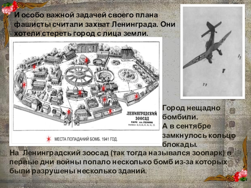 Зоопарк в блокаду ленинграда. Зоосад в блокадном Ленинграде. Ленинградский зоосад в годы блокады. Ленинградский зоопарк в блокаду Ленинграда. Ленинградский зоопарк в годы войны.