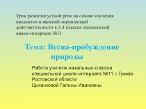 Презентация к открытому уроку Весна-пробуждение природы
