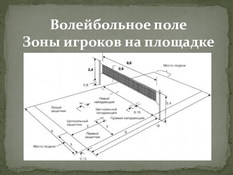 Размеры детской волейбольной площадки схема