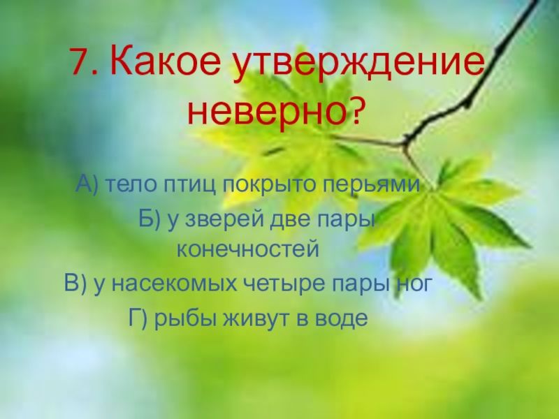 Презентация по окружающему миру 2 класс в гости к весне 2 класс